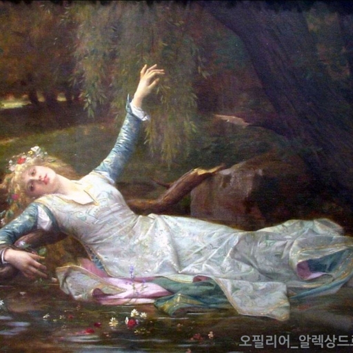 피드 이미지