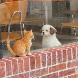 피드에 업로드 된 이미지