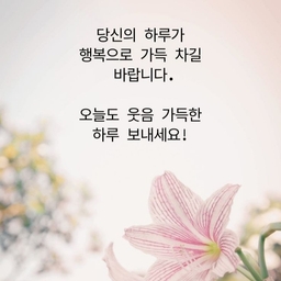 피드에 업로드 된 이미지