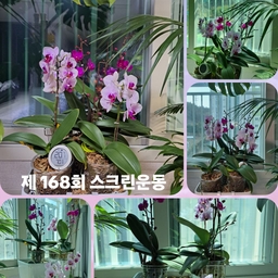 피드에 업로드 된 이미지