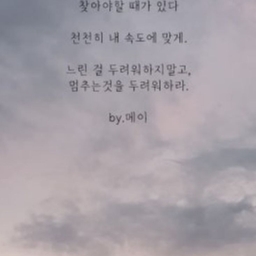 피드에 업로드 된 이미지