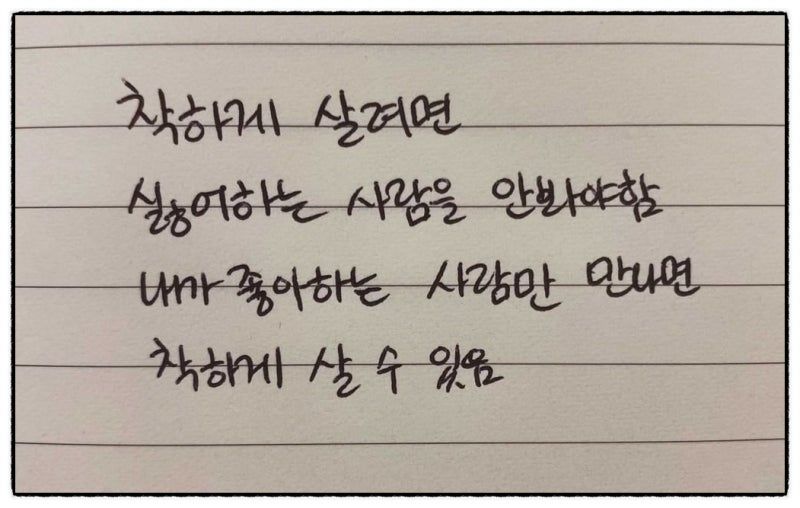 피드 이미지