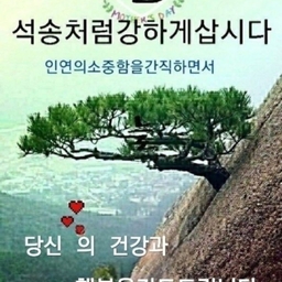 피드에 업로드 된 이미지