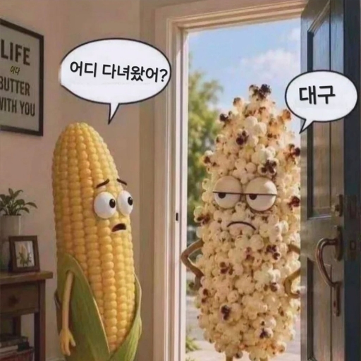 피드 이미지