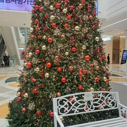 피드에 업로드 된 이미지