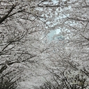 참가 유저 프로필