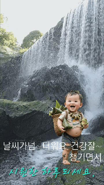 피드 이미지