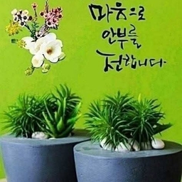 피드에 업로드 된 이미지