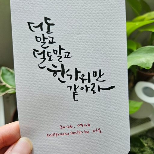 피드 이미지