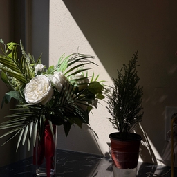 피드에 업로드 된 이미지