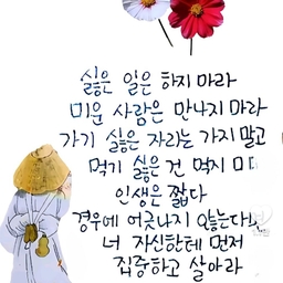 피드에 업로드 된 이미지