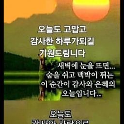 피드에 업로드 된 이미지