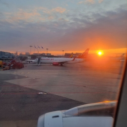 피드에 업로드 된 이미지