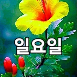 ํผ๋์ ์
๋ก๋ ๋ ์ด๋ฏธ์ง