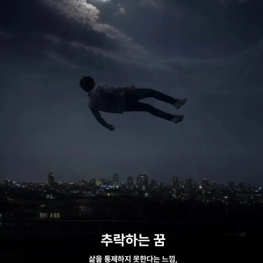 피드 이미지