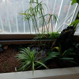 피드에 업로드 된 이미지