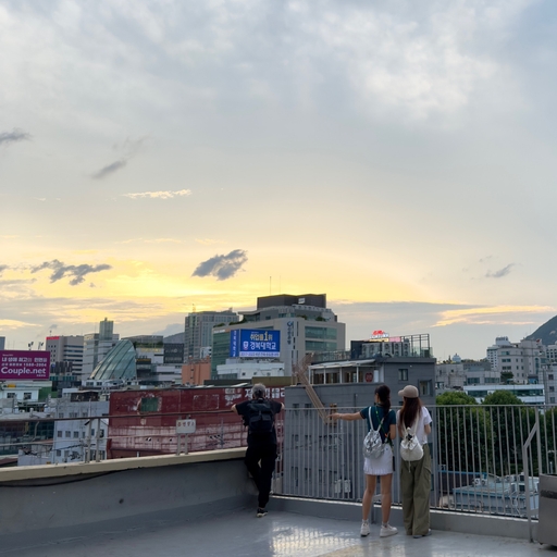 피드 이미지
