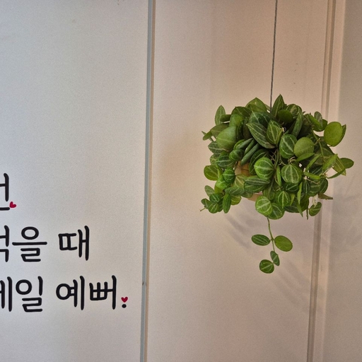 피드 이미지