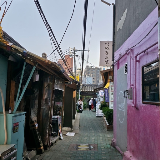 피드 이미지