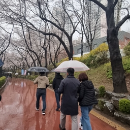 피드에 업로드 된 이미지