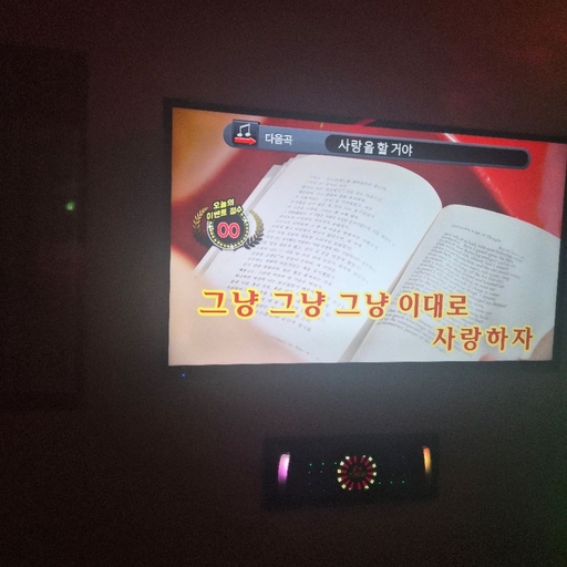 피드 이미지