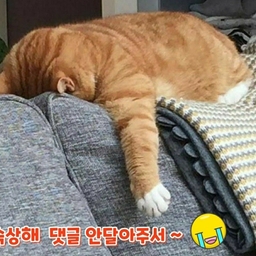 ํผ๋์ ์
๋ก๋ ๋ ์ด๋ฏธ์ง