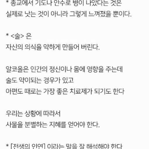 피드 이미지