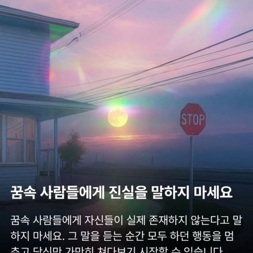 피드 이미지