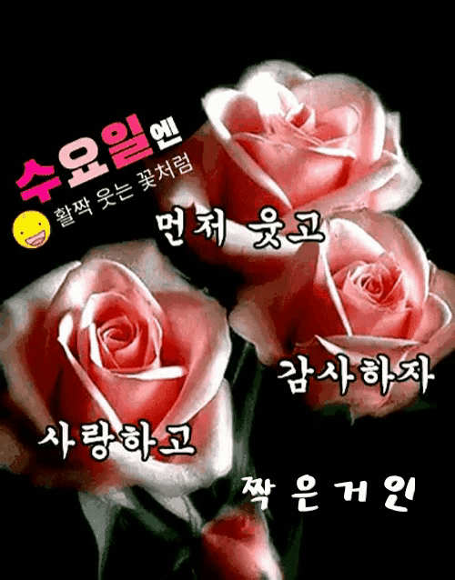 ํผ๋์ ์
๋ก๋ ๋ ์ด๋ฏธ์ง