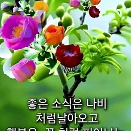 피드에 업로드 된 이미지