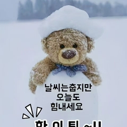 피드에 업로드 된 이미지