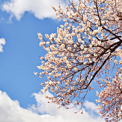 모임 대표 이미지