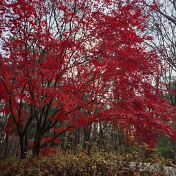 피드에 업로드 된 이미지