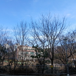 피드에 업로드 된 이미지