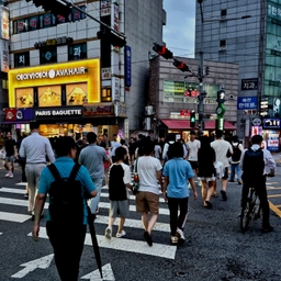 피드에 업로드 된 이미지
