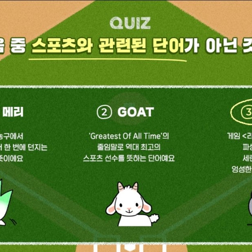피드 이미지