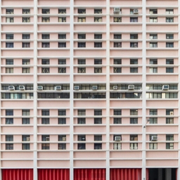 피드에 업로드 된 이미지