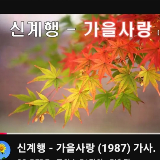 피드 이미지
