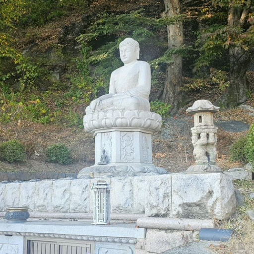 피드 이미지