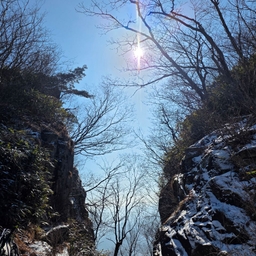 피드에 업로드 된 이미지