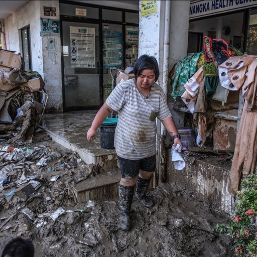 ํผ๋ ์ด๋ฏธ์ง