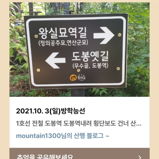 피드 이미지