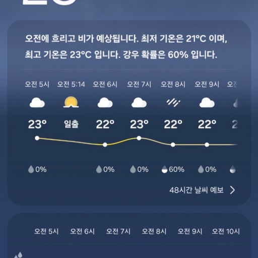 피드 이미지