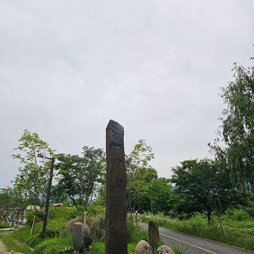 피드 이미지