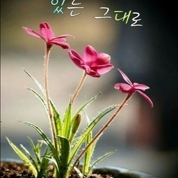피드에 업로드 된 이미지