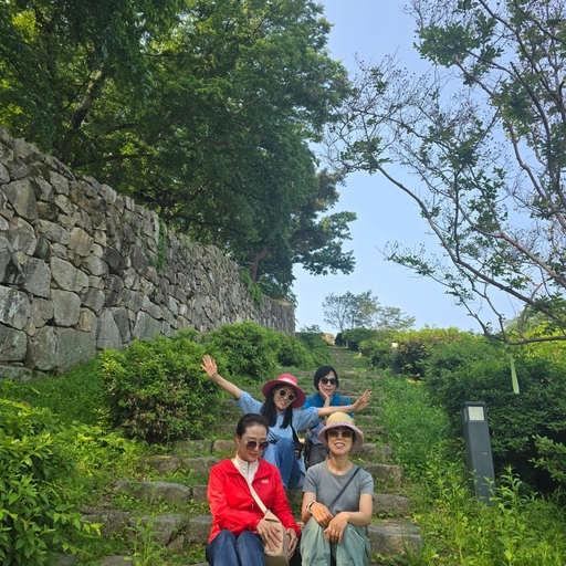 피드 이미지