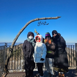 피드에 업로드 된 이미지