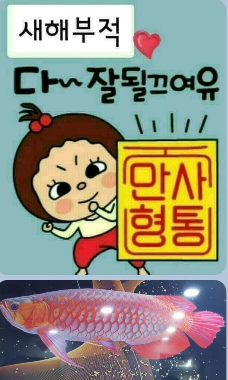 피드 이미지