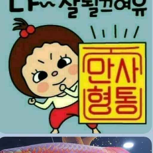 피드 이미지