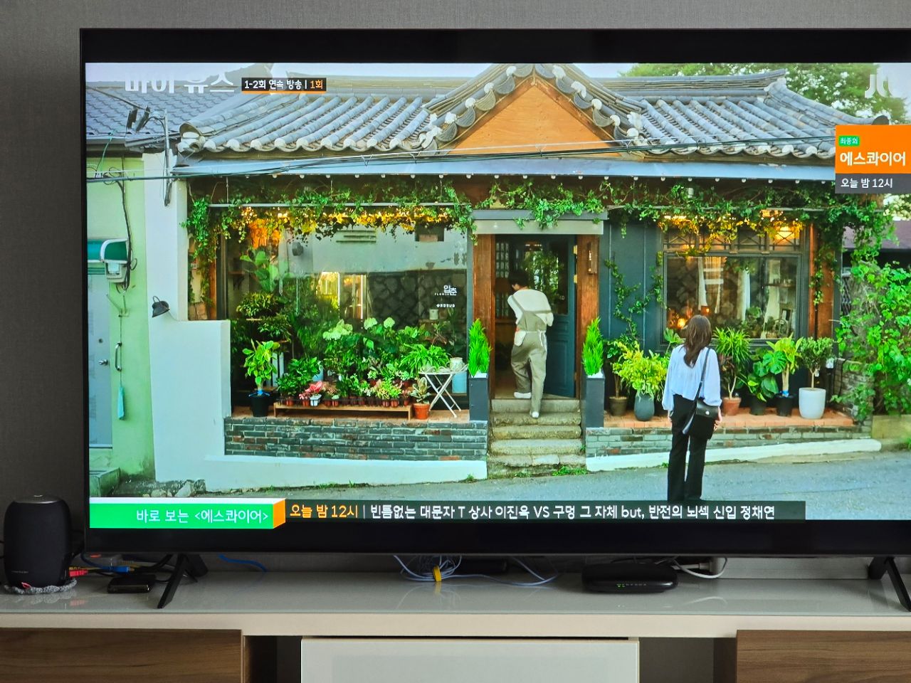피드 이미지